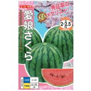 種【小玉スイカ】愛娘さくら(小袋 7粒・200粒)【ナント種苗】野菜 種子 スイカの種