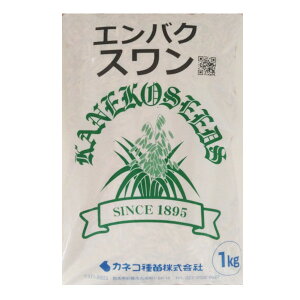 飼料用 牧草種子【エンバク】スワン(極早生)1kg・10kg・20kg【カネコ種苗】飼料