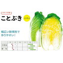 種【ハクサイ】ことぶき(20ml・ペレット種子5000粒)【カネコ種苗】野菜種子