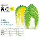 種【ハクサイ】黄将(20ml・ペレット種子5000粒)【カネコ種苗】野菜種子