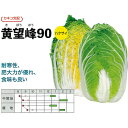 種【ハクサイ】黄望峰90(20ml・ペレット種子5000粒)【カネコ種苗】野菜種子