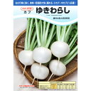 種【カブ】ゆきわらし(20ml詰・1dl詰・ペレット種子5000粒)【カネコ種苗】野菜 種子 カブの種