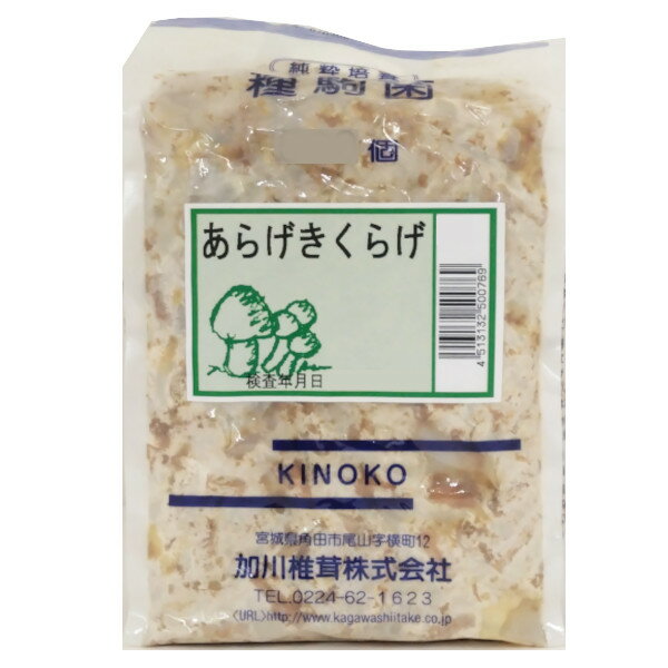 【きのこ種駒菌】加川 あらげきくらげ菌 （100駒・250駒・500駒） 種菌