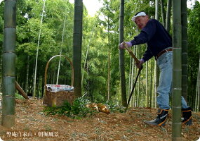 【贈答やご家庭用にも最適な銘品】京都香月庵がお届けする、産地直送、京都府産「四季のご飯詰合せ」春は京の筍ご飯、秋は京・丹波のしめじご飯、そして通年通して美味しいちらし寿司三拍子揃った京都・香月庵のご飯の素3種類5袋セット