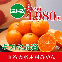 ギフト用みかん
