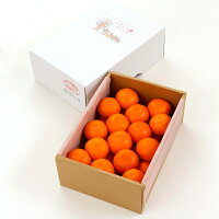 とっても美味しいみかん
