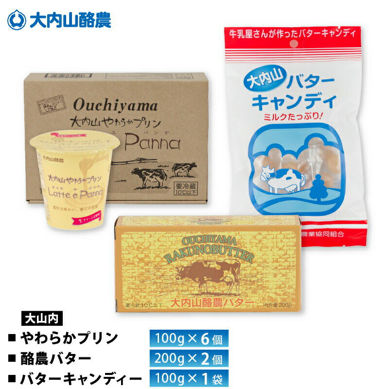 大内山酪農農業協同組合 やわらかプリン100g×6個・バター200g×2個・キャンディ 100g×1個 送料無料 チル..