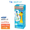 エルビー カルアップ 200ml×24本 紙パック 送料無料 常温保存 ロングライフ商品 ヨーグルト風味 カルシウム補給飲料 栄養機能食品|詳細画像