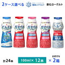 2ケースえらべる 飲むヨーグルト メグミルク 恵 ビフィズス菌カプセル ガセリ菌 乳酸菌ヘルベ 100m×24本 送料無料 クール便 チルド 要冷蔵 ヨーグルト飲料 乳酸菌飲料 のむヨーグルト 体調管理 腸内環境 免疫力 花粉 ハウスダスト