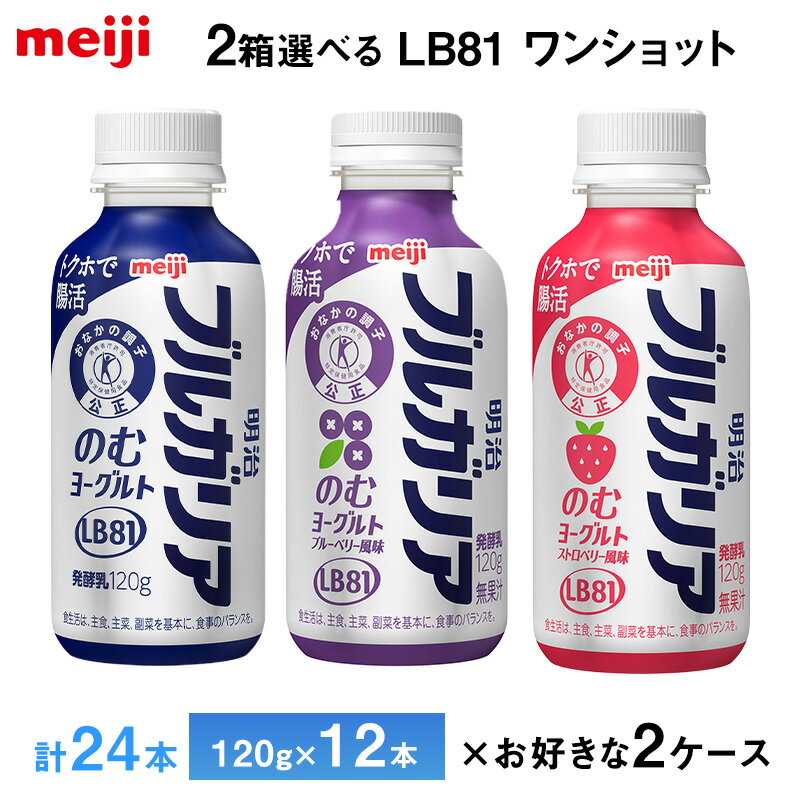 Rakuten - 2ケースえらべる 明治乳業 明治ブルガリアのむヨーグルト ワンショットシリーズ ブルーベリー ストロベリー120g×48本 送料無料 ヨーグルト飲料 飲むヨーグルト のむヨーグルト チルド便 クール便 要冷蔵品 トクホで腸活