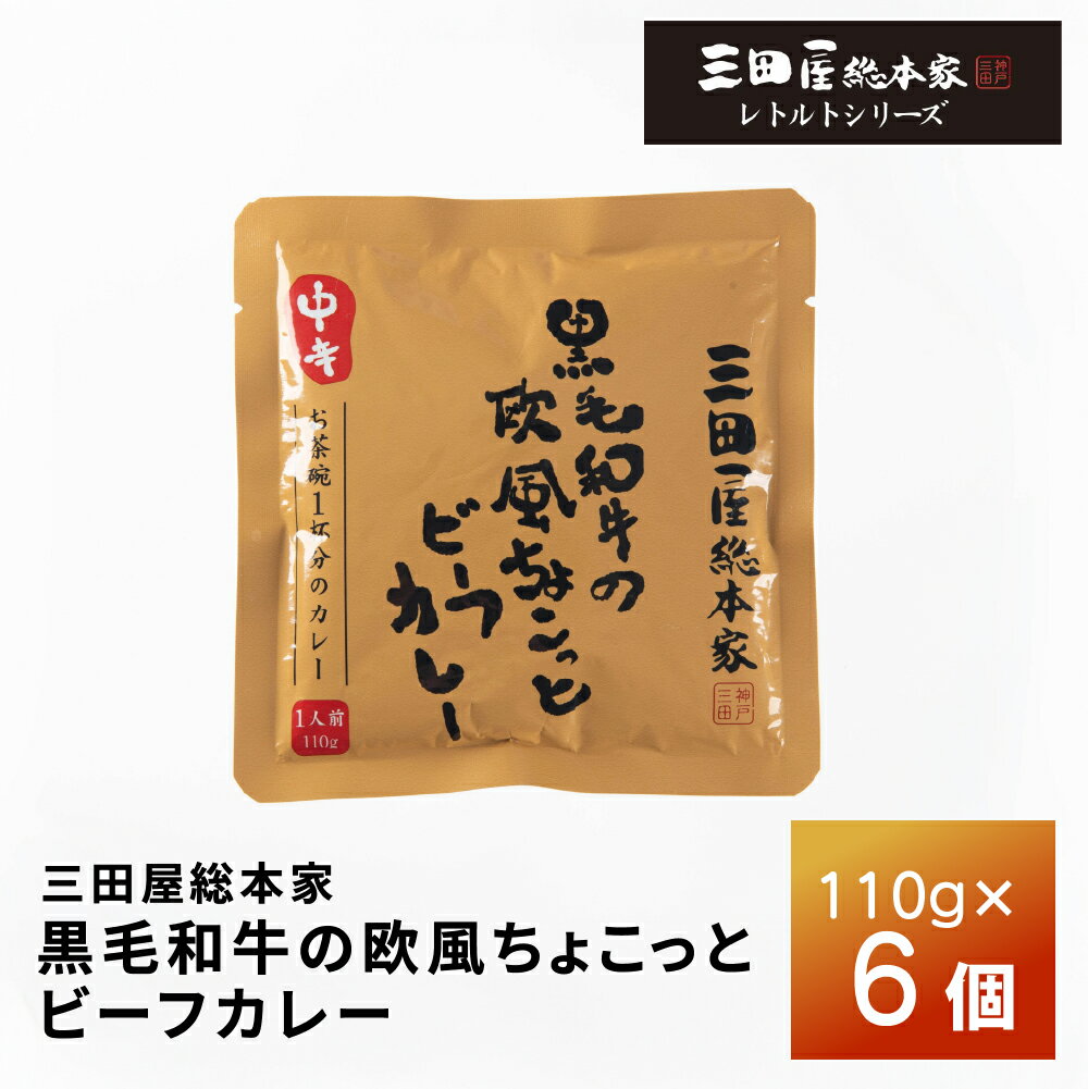 Rakuten - 三田屋総本家 黒毛和牛の欧風ちょこっとビーフカレー110g×6個