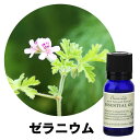 フレーバーライフ エッセンシャルオイル ゼラニウム 10ml 精油 自然 アロマテラピー リラックス 癒し 健康 ナチュラル 美容 リフレッシュ ストレス軽減 バランス 香り ウェルネス エネルギー 高品質 心身の調和 癒やし効果