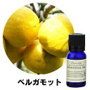フレーバーライフ エッセンシャルオイル ベルガモット 10ml 精油 自然 アロマテラピー リラックス 癒し 健康 ナチュラル 美容 リフレッシュ ストレス軽減 バランス 香り ウェルネス エネルギー 高品質 心身の調和 癒やし効果(4)