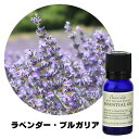 フレーバーライフ エッセンシャルオイル ラベンダーブルガリア 10ml 精油 自然 アロマテラピー リラックス 癒し 健康 ナチュラル 美容 リフレッシュ ストレス軽減 バランス 香り ウェルネス エネルギー 高品質 心身の調和 癒やし効果