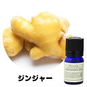 フレーバーライフ エッセンシャルオイル ジンジャー 10ml 精油 自然 アロマテラピー リラックス 癒し 健康 ナチュラル 美容 リフレッシュ ストレス軽減 バランス 香り ウェルネス エネルギー 高品質 心身の調和 癒やし効果