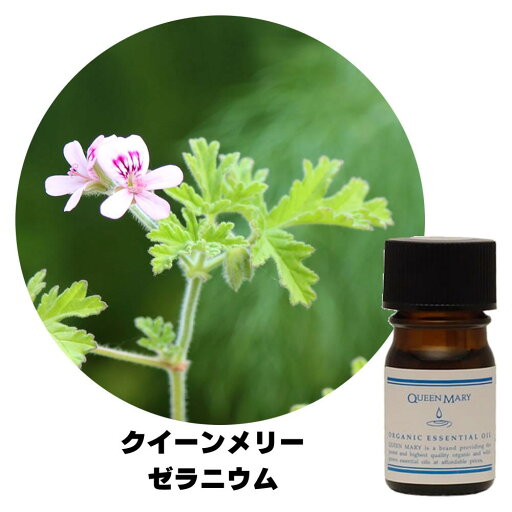 フレーバーライフ エッセンシャルオイル クイーンメリーゼラニウム 5ml 精油 自然 アロマテラピー リラックス 癒し 健康 ナチュラル 美容 リフレッシュ ストレス軽減 バランス 香り ウェルネス エネルギー 高品質 心身の調和 癒やし効果 フレーバーライフ エッセンシャルオイル クイーンメリーゼラニウム 5ml 精油 自然 アロマテラピー リラックス 癒し 健康 ナチュラル 美容 リフレッシュ ストレス軽減 バランス 香り ウェルネス エネルギー 高品質 心身の調和 癒やし効果