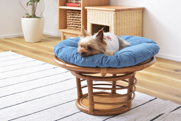 【ペットスツール】 スツール 椅子 チェア ペット イヌ ネコ 犬 猫 クッション ラタン 収納 ゆったり おしゃれ リビング アニマル