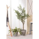【グリーンベース】 ベース 入れ物 観葉植物入れ 飾り 植木鉢 インテリア インテリア雑貨 室内 おしゃれ