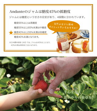 糖質オフ 国産 無添加 手作り 低糖質ジャム 保存料 香料 増粘剤不使用 お料理にも使える 低糖度45 砂糖不使用