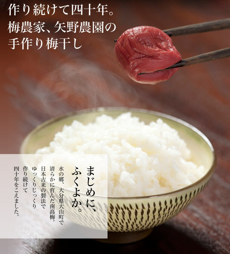 梅干 無添加 豊の香梅 500g 完熟南高梅 大分県お取り寄せグルメ しそ漬け うめぼし 大分県日田市大山産 お中元 御中元 お歳暮 御歳暮 贈り物 ギフト OITA30CP_20 2