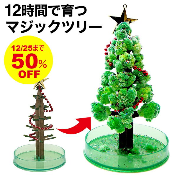 【メール便】【12月25日まで 50％OFF】 マジッククリスマスツリー 卓上 マジックツリー 12時間で育つ不思議な クリスマスツリー【おとぎの国】