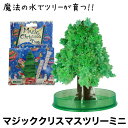 【本家】マジッククリスマスツリーシリーズ『マジッククリスマスツリー ミニ』10時間で育つ不思議なクリスマスツリー【おとぎの国】マジックスノー