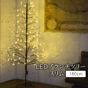 クリスマスツリー LED ブランチツリー スリム ブラウン ホワイト 180cm 欧米 おしゃれ 木 枝ツリー イルミネーションライト 飾り 電飾 【おとぎの国】