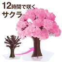 【メール便】マジック桜 Magic桜 12時間で咲く感動のサクラ マジックさくら magicsakura おうち花見 室内屋内花見 インドア花見 エア花見 お花見グッズ 入学祝 卒業祝 合格祝 母の日 おもちゃ おとぎの国