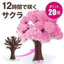 【メール便】【3/12 23:59 までP20倍】マジック桜 Magic桜 12時間で咲く感動のサクラ マジック クリスマスツリーシリーズ おうち花見 室内屋内花見 母の日 お花見グッズ 入学祝 卒業祝 合格祈願 受験生 グッズ プレゼント 母の日 おもちゃ おとぎの国