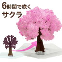 【メール便】マジック桜ミニ　Magic桜ミニ　6時間で咲くサクラ マジックさくら マジックシリーズ お花見グッズ お土産や結婚式 おもちゃ 母の日 入学祝 卒業祝 合格祈願 受験生 グッズ プレゼントなどに おとぎの国