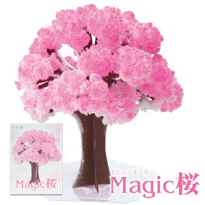 【メール便】 Magic桜 マジック桜 海外へのお土産に プチギフト magic sakura エア花見 インドア花見 室内花見 屋内花見 マジックツリー 手作りで作る桜の木 おとぎの国