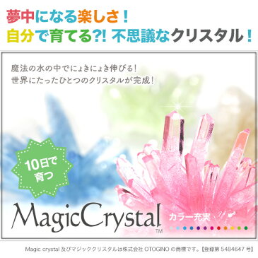 【しゃべくり007で紹介！】マジッククリスタル 10日で育つ不思議なクリスタル Magic Crystal クリスタル栽培キット 手作りキット 世界で一つだけのクリスタル 自由研究