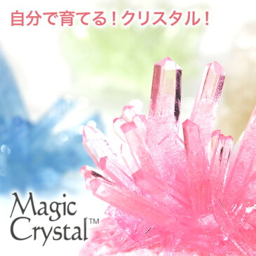 【しゃべくり007で紹介！】マジッククリスタル 10日で育つ不思議なクリスタル Magic Crystal クリスタル栽培キット 手作りキット 世界で一つだけのクリスタル 自由研究