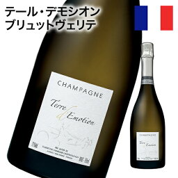 シャンパン テール・デモシオン ブリュットヴェリテ 750ml 長熟84ヶ月プレミアムシャンパン シャンパーニュ 辛口 スパークリング 自社輸入 【クール】