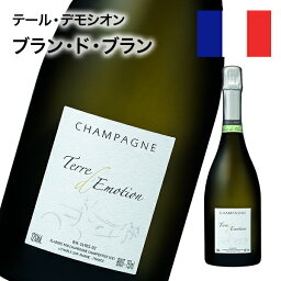 在庫処分セール シャンパン テール・デモシオン ブラン・ド・ブラン 750ml 長熟84ヶ月プレミアムシャンパーニュ シャンパン 泡 スパークリング 自社輸入 【クール】