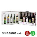 ワインセット ワインギフト THE WINE GURUS 赤ワイン 白ワイン スペインセット 缶バッチ マガジン入り 750ml 自社輸入 1