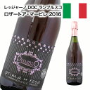 スパークリングワイン 甘口 ロゼワイン ランブルスコ・ロザート・アマービレ 2016 750ml 自社輸入 低アルコールワイン