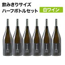 白ワインセット 中辛口 375ml×6本 ハーフボトル イタリア ロマーニャ クレメンテ・アイ 2013 自社輸入