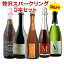 【SALE】ワインセット 贅沢スパークリングワインセット 5本セット シャンパンと同じ製法カヴァ入り