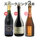 スパークリングワインセット 送料無料 ロゼ赤スパークリング3本 シャンパン製法カヴァcava ランブルスコ フランスロワール産泡