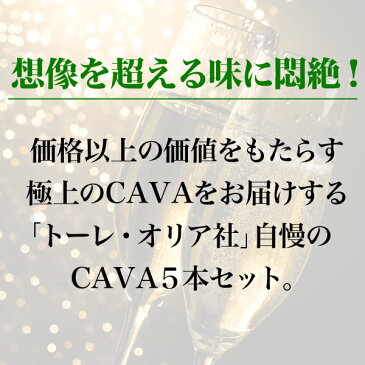 スパークリングワインセット 送料無料 1本あたり995円 カヴァcava4本セット 辛口2本 中甘口2本 シャンパン製法 瓶内二次発酵 スペイン産泡