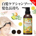【 ハリエッタ カラーシャンプー 染毛料 300mL 】シャンプー カラーケアシャンプー ヘア カラーシャンプー 白髪 シャンプー 白髪ケア 白髪用 白髪隠し ベルガモシトラス ベルガモット シトラス 香り ダークブラウン ライトブラウン ノンジアミン 日本製 生協 公式