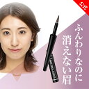【1DAYティント アイブロウ】1日落ちない ダークブラウン アイブロウ 落ちない 消えない アイブロー 眉ティント 眉毛 ティント パウダータイプ チップ ウォータープルーフ(メイク持ち) eyebrow 生協 公式
