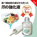 \楽天デイリーランキング1位!/【 エスジェ ネイルハードナー 10mL 】ネイルケア 爪補修 液 爪補強 爪強化剤 自爪 保護 ネイルコート 補修剤 コーティ...