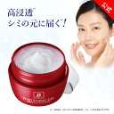 ベルシーオ 薬用ホワイトニングジェル TC 100g 医薬部外品 無香料 無着色 パラベンフリー オールインワンゲル(化粧水 美容液 乳液 クリーム パック) ...