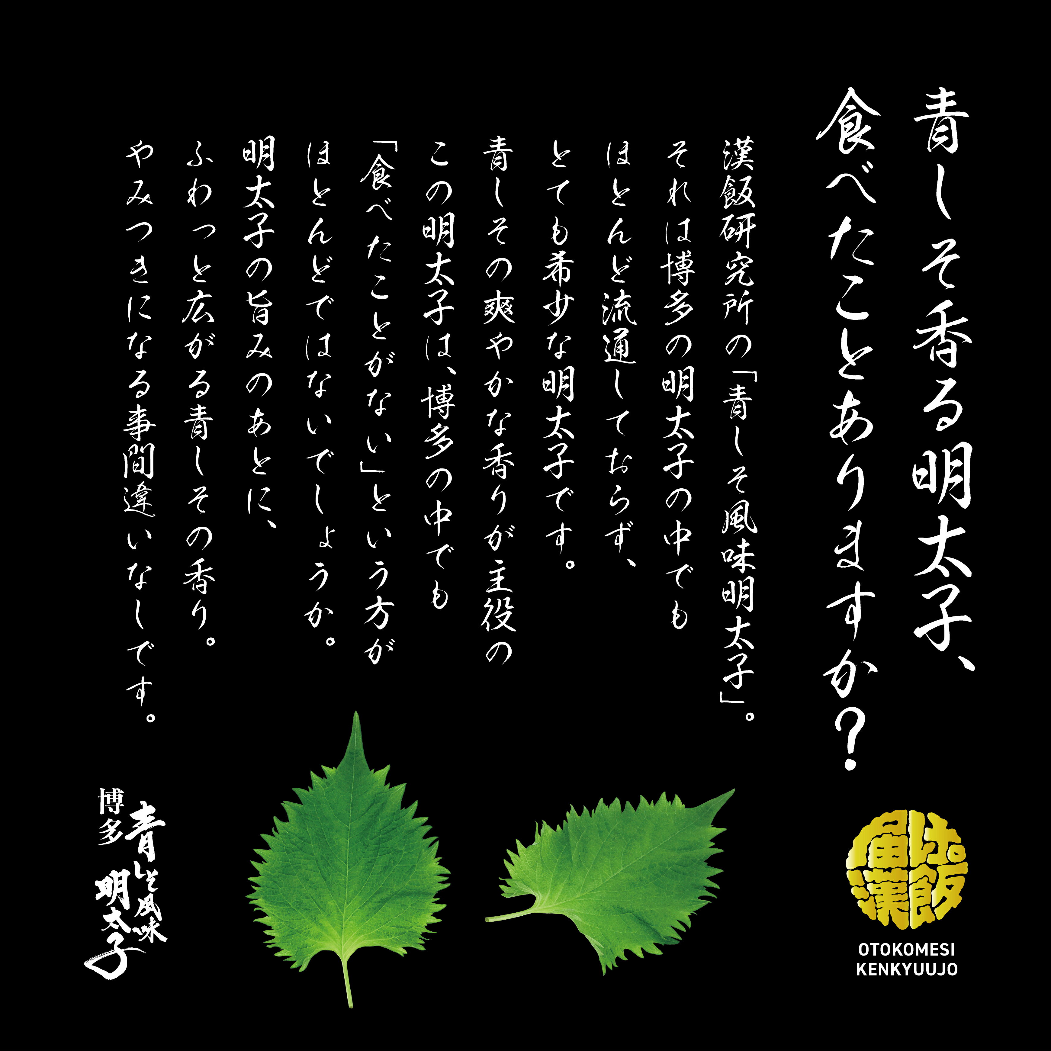 サンプル画像2