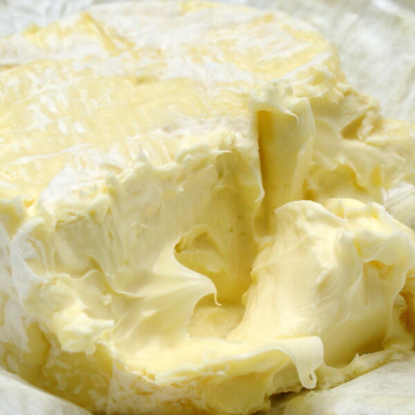 ブルソー クリームチーズ200g バター風味 パンやフルーツを添えて 数量限定入荷品です！ 毎週水・金曜日発送