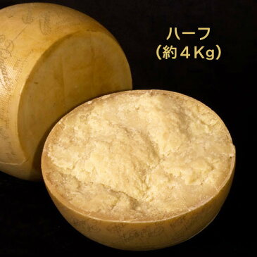 ハード セミハード チーズ ペラガッティーノ ハーフカット 約4Kg イタリア産