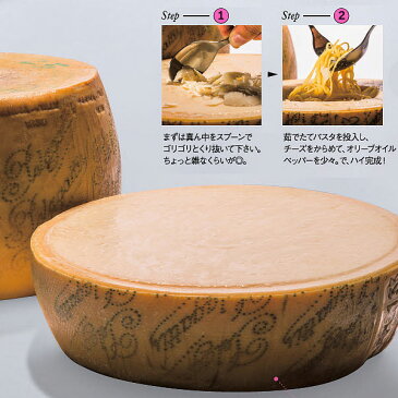 ハード セミハード チーズ ペラガッティーノ ハーフカット 約4Kg イタリア産