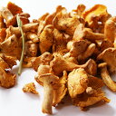 フレッシュ茸 「ジロール(あんず茸)」ヨーロッパ産 girolle 500g 空輸便